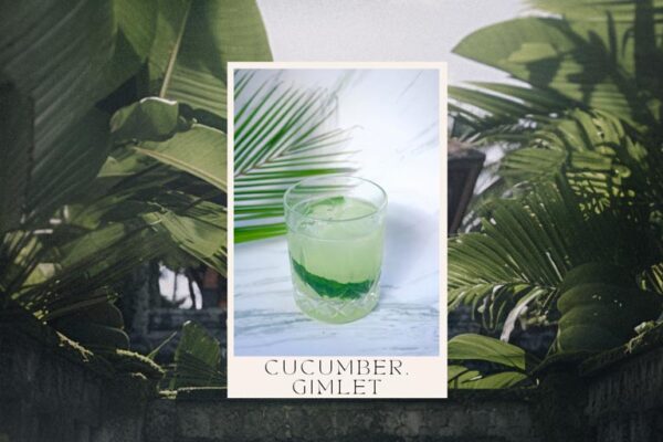 Ubud Monkey Forest: Your Complete Visitor Guide