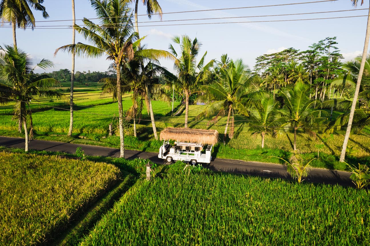 Aerial view of the Tikibus open-air tiki bus, palm-thatched roof, cruising a palm-lined road in Bali